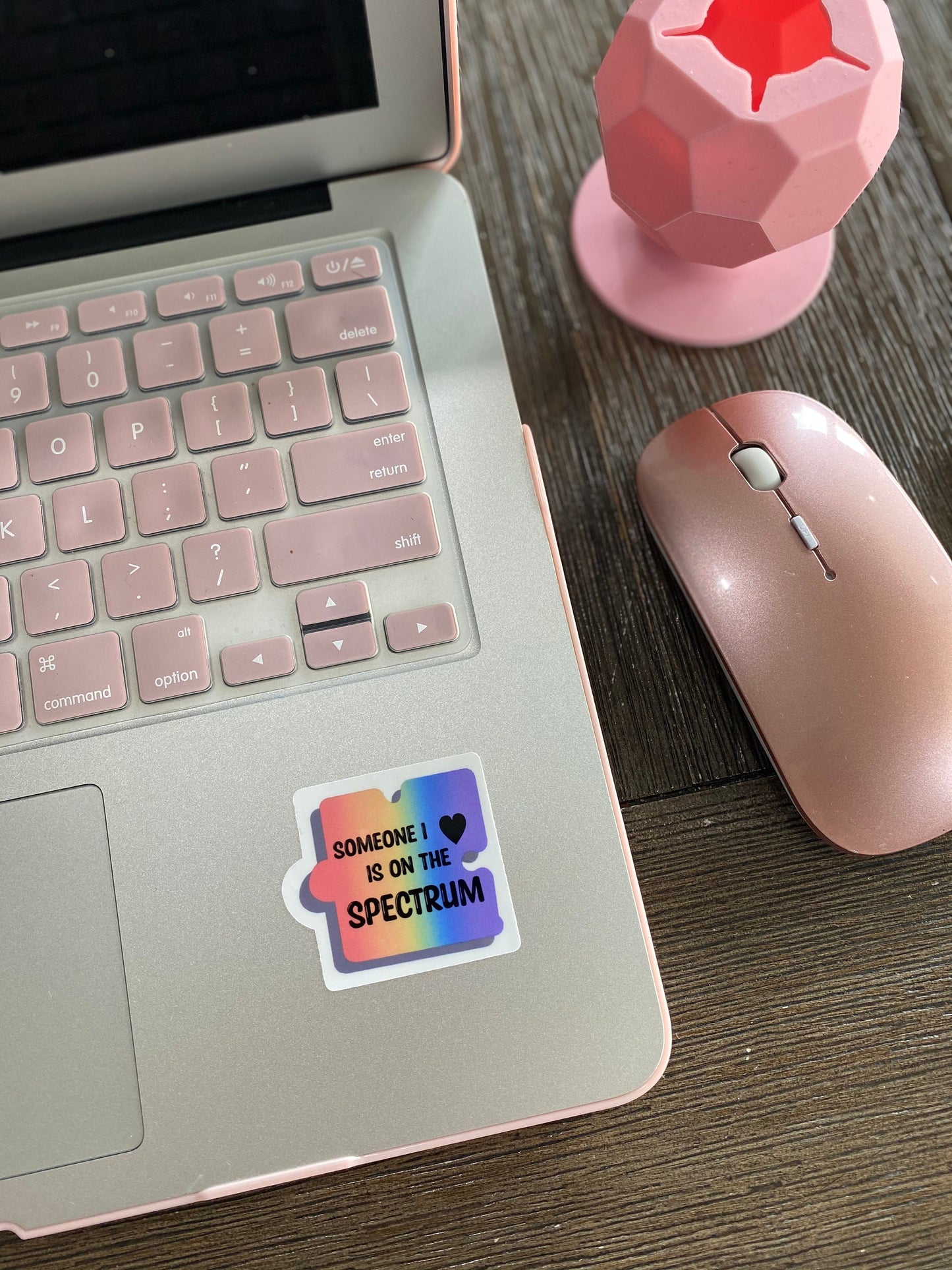 SOMEONE I LOVE IS ON THE SPECTRUM